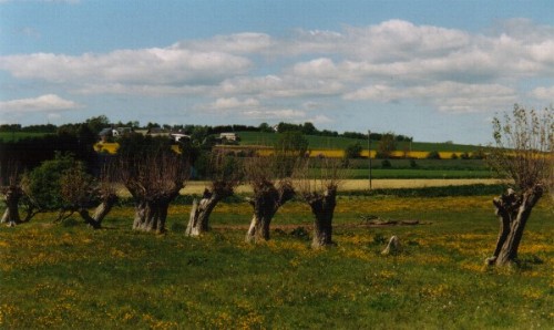 Foto &AElig;r&oslash;