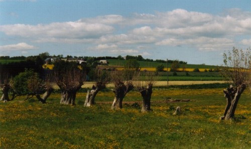 (Foto Ærø)